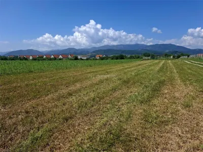 Teren extravilan de vanzare Talmaciu - foto 2