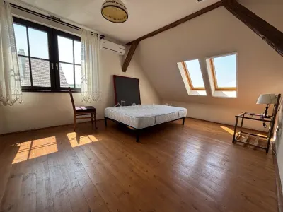 Proprietate de patrimoniu pe malul lacului Paleu - Teren 2.300 mp - piscina - Coliba lui Horea – casa istorica din secolul XVIII - foto 12