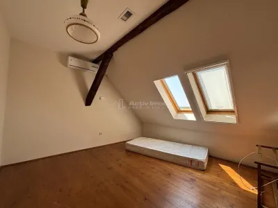 Proprietate de patrimoniu pe malul lacului Paleu - Teren 2.300 mp - piscina - Coliba lui Horea – casa istorica din secolul XVIII - foto 16