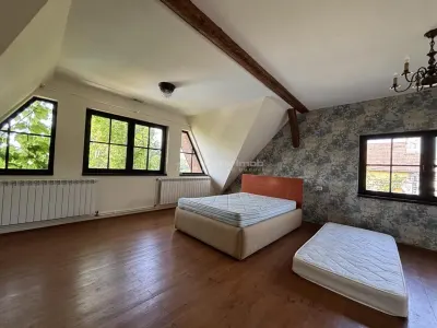 Proprietate de patrimoniu pe malul lacului Paleu - Teren 2.300 mp - piscina - Coliba lui Horea – casa istorica din secolul XVIII - foto 17