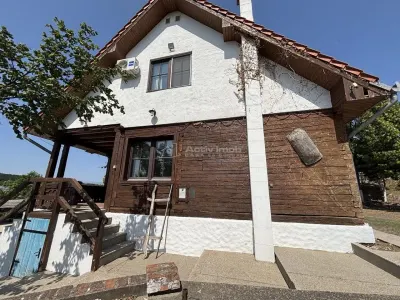 Proprietate de patrimoniu pe malul lacului Paleu - Teren 2.300 mp - piscina - Coliba lui Horea – casa istorica din secolul XVIII - foto 3