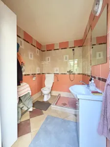 Casa cocheta pe un singur nivel, cu garaj si terasa – zona Cantemir - foto 8