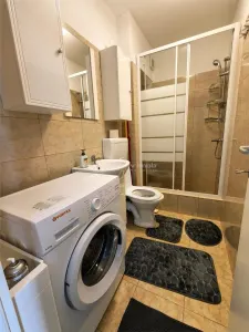 Garsoniera de inchiriat str Tiberiu Ricci - foto 9