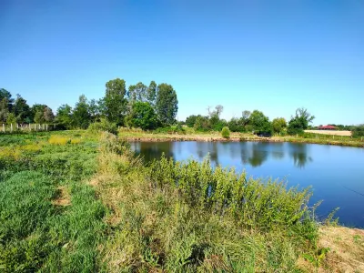 Teren 18.247 mp cu balta de pescuit – Misca, Comuna Chislaz, Bihor - foto 6
