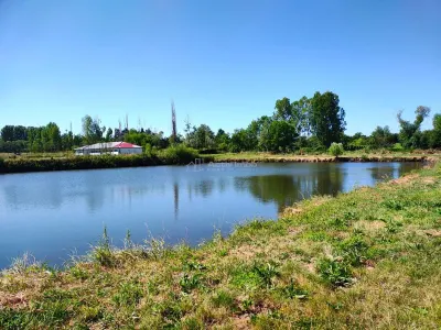 Teren 18.247 mp cu balta de pescuit – Misca, Comuna Chislaz, Bihor - foto 7