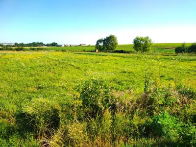 Teren 18.247 mp cu balta de pescuit – Misca, Comuna Chislaz, Bihor - foto 8
