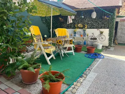 Lugoj, Parter De Vilă, Curte Proprie, 4 Cam., Pretabil  Afacere + Locuinta, Central - foto 7