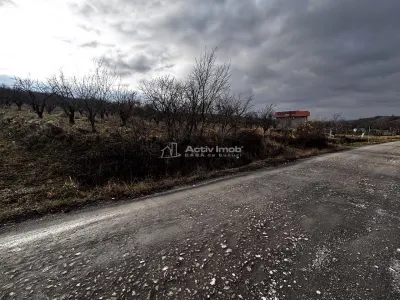 Teren Intravilan Str Livezilor - foto 13