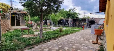 Casa pe sol, teren : 1460 mp - zona Spitalului Municipal - Bariera - foto 4