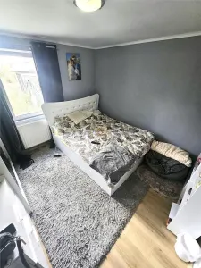 VIDEO | Casa cu 3 dormitoare in Satmarel | Teren 2.035 mp - foto 8