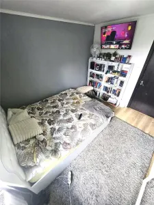 VIDEO | Casa cu 3 dormitoare in Satmarel | Teren 2.035 mp - foto 9