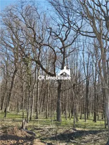 IZVORANI Teren unic prin locatie si priveliste, cu hotar la padurea, intr-o zona in plina expansiune - foto 2