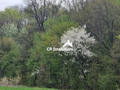 IZVORANI Teren unic prin locatie si priveliste, cu hotar la padurea, intr-o zona in plina expansiune - foto 3