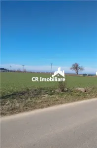 Teren in Ciolpani cu pozitie si pret bun, pretabil pentru constructie sau investitie - foto 2