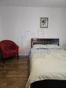 Apartament 1 camera de vanzare in zona Pacurari - foto 2