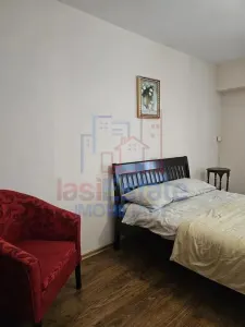 Apartament 1 camera de vanzare in zona Pacurari - foto 3