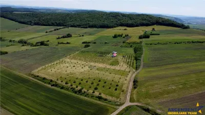 Afacere la cheie, dar si refugiu intr -o oaza de liniste in peisaj pitoresc: 25.624 mp compacte/Moisa, Mures - foto 7