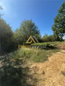 Teren Intravilan in Tautii-Magheraus str 7 2097 mp - foto 3