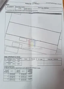 Chiscani zona Scolii Mici Teren 1205 mp cu 16,5m deschidere stradala - foto 2