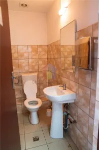 Hala industriala/depozitare+ Birouri,425 mp, acces tir - Dorobantilor - foto 17
