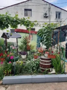 Apartament la curte 2 camere, 77 mp, Centru Istoric - Braila