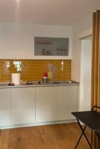 3 camere, etaj 1, Renovat Integral, Mobilat si Utilat - Buzaului - foto 18