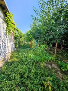 Casa batraneasca cu teren 295 mp, deschidere 8 m, Chercea - foto 9