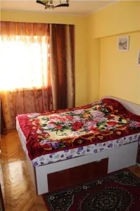 Apartament 3 camere de vanzare  zona Peco-Tulcea - foto 3