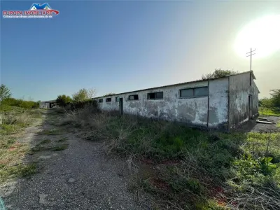 Ferma de vanzare in localitatea Bestepe - foto 22