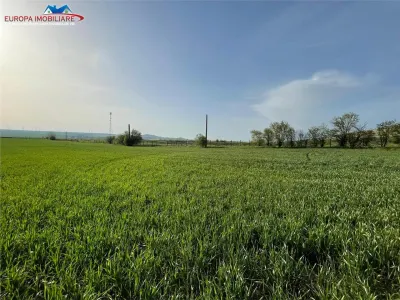 Ferma de vanzare in localitatea Bestepe - foto 24