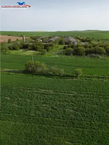 Ferma de vanzare in localitatea Bestepe - foto 4