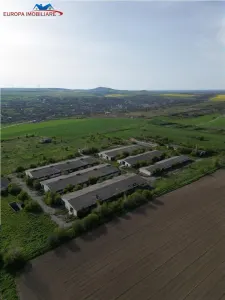 Ferma de vanzare in localitatea Bestepe - foto 6