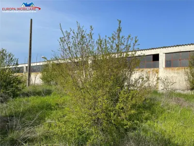 Ferma de vanzare in localitatea Bestepe - foto 10