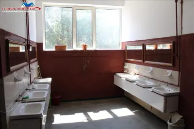Hala productie de inchiriat - foto 11