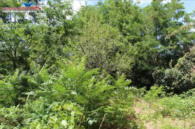 Teren intravilan de vanzare zona Dallas - foto 3