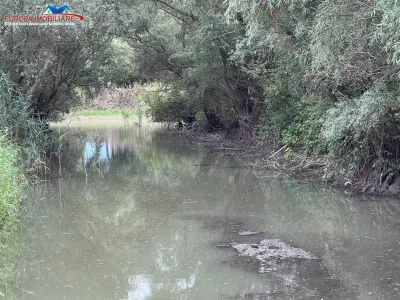 Teren intravilan de vanzare Dunavatu de Jos - foto 3