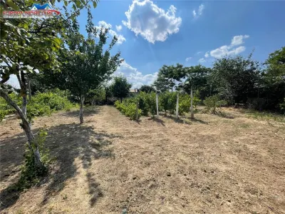 Casa  de vanzare zona Alexandru cel Bun-Tulcea - foto 3