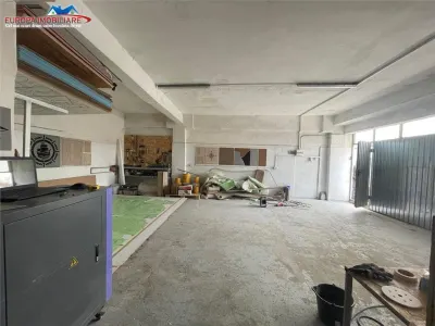 Hale de inchiriat zona Prislav Tulcea - foto 11