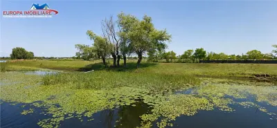 Teren cu deschidere la canal în Letea – 2.557 mp | Delta Dunării | - foto 3