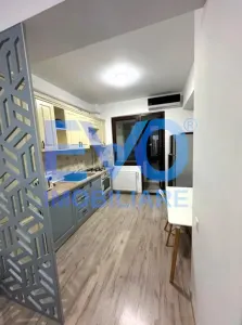 APARTAMENT CU 1 CAMERA DE INCHIRIAT, CENTRAL - foto 4