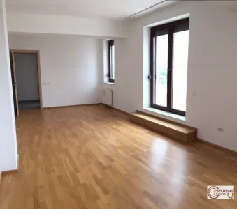 PENTHOUSE  vedere panoramica parc Herastrau - foto 11