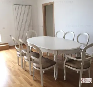 PENTHOUSE  vedere panoramica parc Herastrau - foto 15