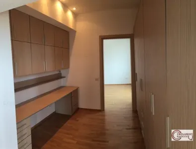 PENTHOUSE  vedere panoramica parc Herastrau - foto 5
