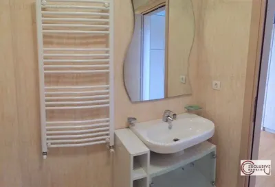 PENTHOUSE  vedere panoramica parc Herastrau - foto 10
