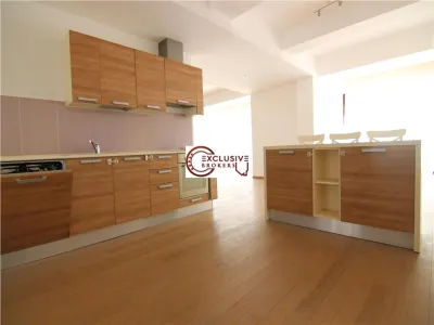Duplex langa Parcul Herastrau 252 mpc! Terasa 50 mp! - foto 8
