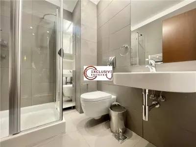 Penthouse 3 Rooms///Open View// Herastrau//parking+storage - foto 16