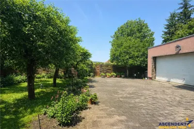 Casa solida,farmec autentic,echipata,garaj incalzit,pod,curte relaxanta,Santana de Mure - foto 19
