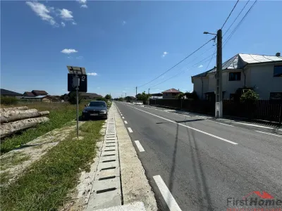 Teren in Golesti 9.848mp intravilan + extravilan  pret 6 euro / mp - foto 2