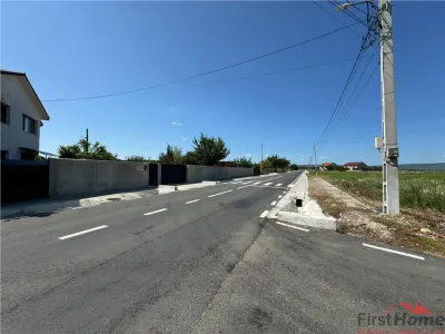 Teren in Golesti 9.848mp intravilan + extravilan  pret 6 euro / mp - foto 7