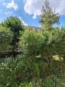 Apartament Aleea Magnoliei Mobilat Utilat  Etaj1 Liber - foto 9